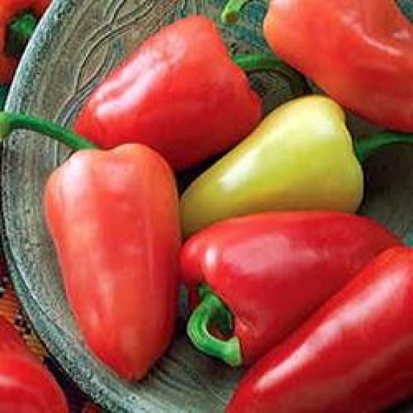 Omaxe Hot Pepper F1 Hybrid OS-12 seeds